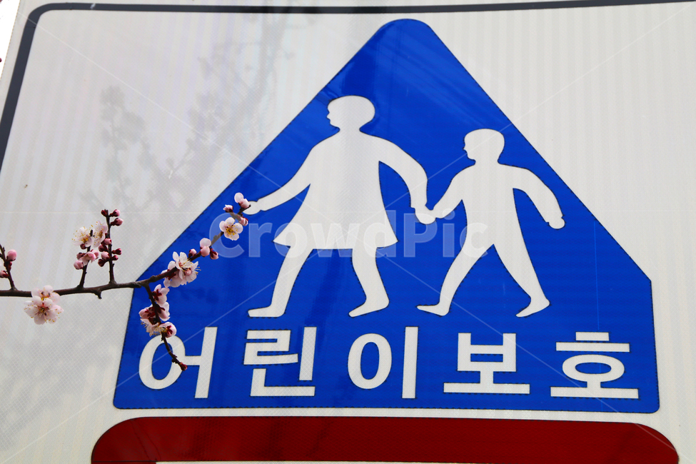 로고,사람들,안전,케어,손,흰색,부모,행복한,성인,아이,보호,관계,사람,교통,교통수단,traffic,transportation