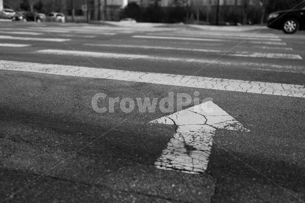 횡단보도,방향,화살표,아스팔트,길거리,road,도로,asphalt,흑백,흑백,모노톤,monochrome,black and white
