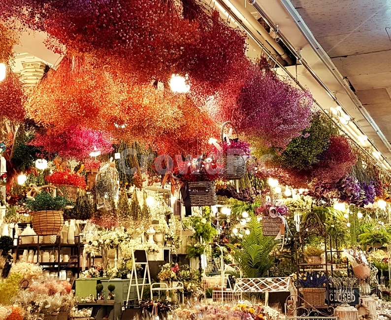 화훼,꽃들,드라이플라워,형형색색,꽃,컬러풀,꽃장식