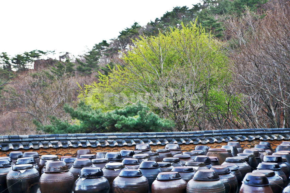 장독,장독대,과천,연주암,관악산