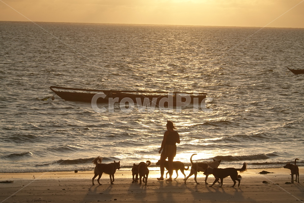 카누,sunrise,일출,새벽,평화로운,인도양,동물,animal,포유류,mammal,실루엣,그림자,silhouette,shadow