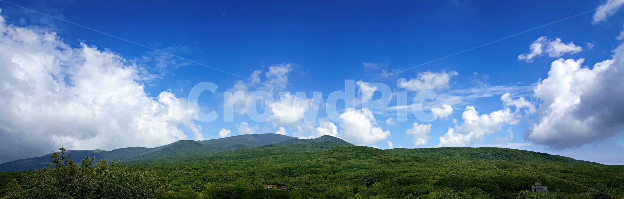 제주도,한라산,1100고지,한라산풍경,1100고지풍경,산,nature,자연,옥외,outdoors,자연,풍경,nature,landscape