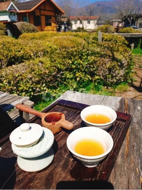 하동다원,다원,녹차밭,다도,차마시기,차우리기,녹차,홍차,음료수,drink,beverage