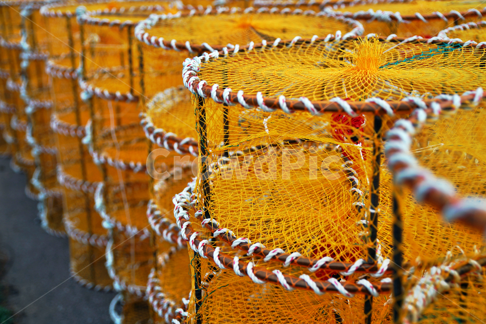어망,어구,고기잡이,그물,어업,바다,어업,fishery,fishing industry