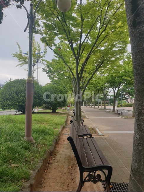 벤치,가로수,가로등,보도,보도블럭,잔디