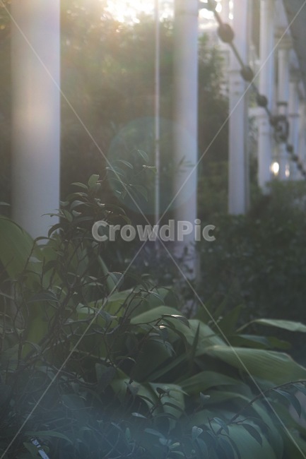 sunlight,Arboretum,Changgyeonggung Palace,light,plant,sight,Changdeokgung Palace,tree,greenhouse,construct,building