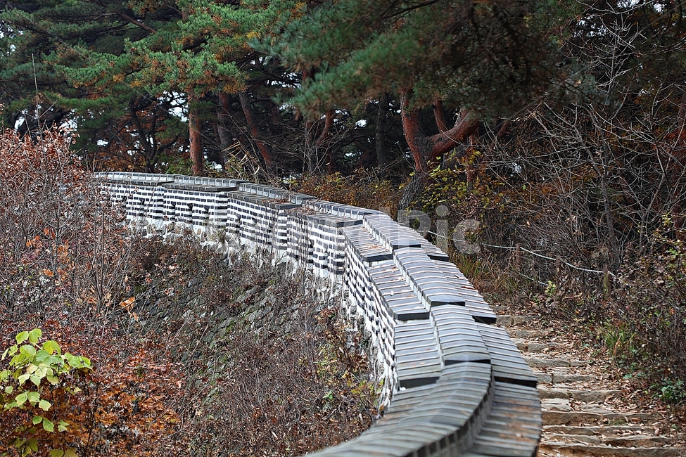 남한산성,성,성곽,단풍,낙엽,길,둘레길,숲,숲길,담,돌담,가을,자연,풍경,벽,울긋불긋,산성,식물,가을,계절,fall,autumn,season