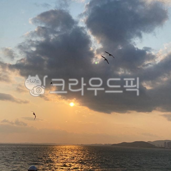 해,구름,바다,새,노을,하늘