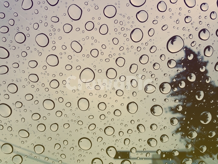 물방울,패턴,유리창,방울,비,빗방울,물,창문,무늬,유리,맺히다,창,접사,rainy,raindrop,water,waterdrop,glass,window,pattern,비,비오는날,rain,rainy