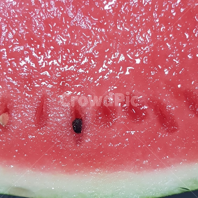수박,watermelon,fruit,과일,food,과일,열매,fruit