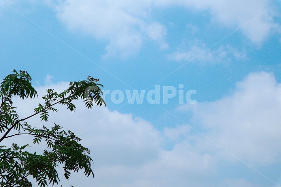 하늘,여름,봄,구름,sky,summer,spring,blue,cloud,자연,풍경,nature,landscape