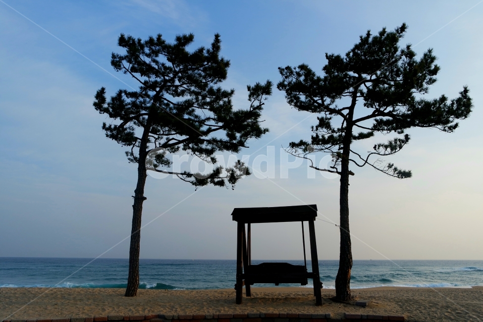 정동진,여행,바다,풍경,하늘,jeongdongjin,travel,beach,sea,landscape,sky,나무,tree,의자,휴식,rest,해변,바다,beach,sea,식물,자연,plants,nature,나무,trees,wood