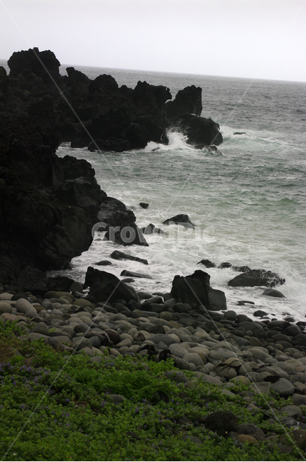 제주,바다,해안,섬,풍경,자연,풍경,nature,landscape,한국자연풍경,한국자연경관,korea nature landscape,해변,바다,beach,sea,제주도,jeju,jeju island,promontory,곶,outdoors,옥외,ocean,대양,water,물
