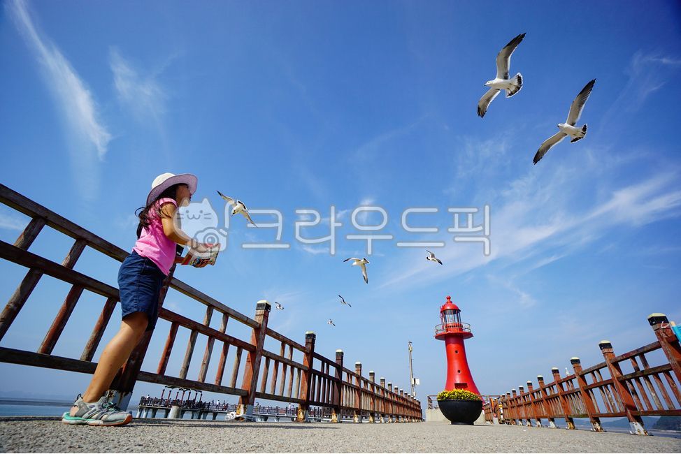 갈매기,등대,동심,먹이주기,제부도,피싱피어,붉은등대,다리,바닷새,새,산책로,소녀,아이,어린이,초등학생,여자,사람,인간,재미,놀이,교감,창공,날개,날다,구름,파란하늘,모자,휴가,한국,대한민국,화성시,경기도,여름,바닷가,seagull,gull,girl,child,childish,bird,animal,person,human,과자