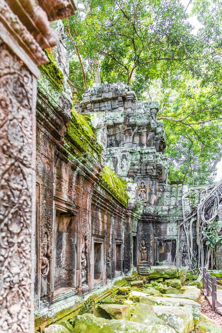 Cambodia,ancient architecture,nature,ancient city,Historic sites,tree,statue,relics,employee,building,tree trunk,Cultural Heritage,ruins,unesco,plant,Tourist destination,land mark,Emotion,relief,Angkor Wat