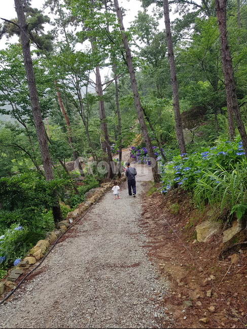 할아버지,손자,행복,자연,사랑
