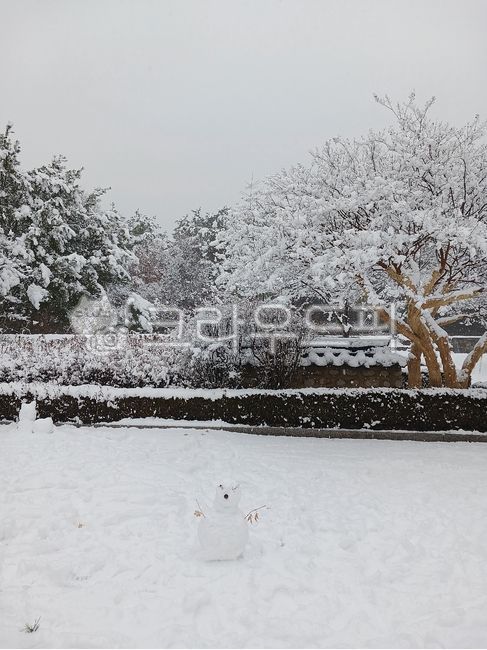 눈,설경,겨울,겨울풍경,소나무,tree,나무,nature,자연,outdoors,옥외,weather,날씨,snow,winter,snowscape,한옥,눈사람,snowman,담장