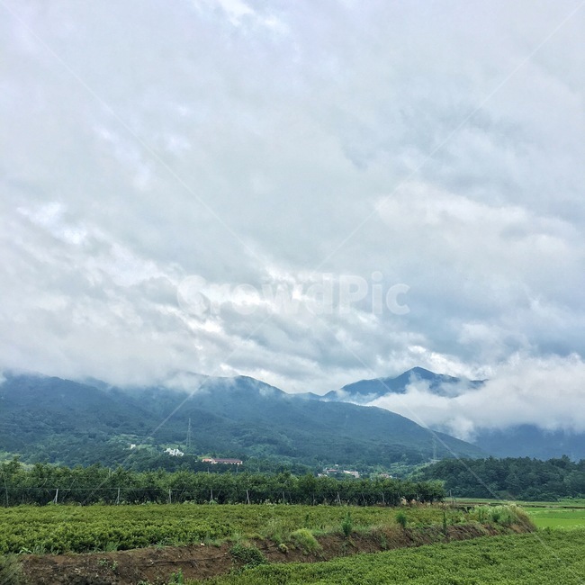 하늘,시골,구름,농촌,sky,rural,cloud,agriculture