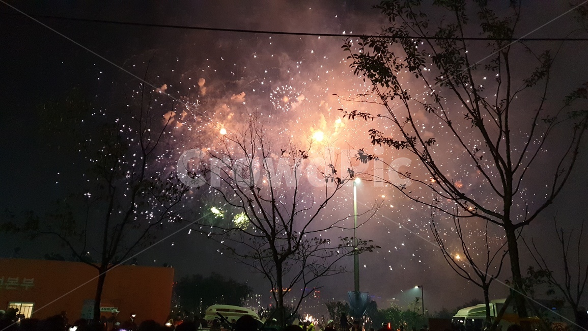 인간,사람,자연,불꽃,축제,옥외,여의도,나이트,human,person,nature,outdoors,night,fireworks,light,flare,빛,플레어,축제,행사,festival,carnival,event
