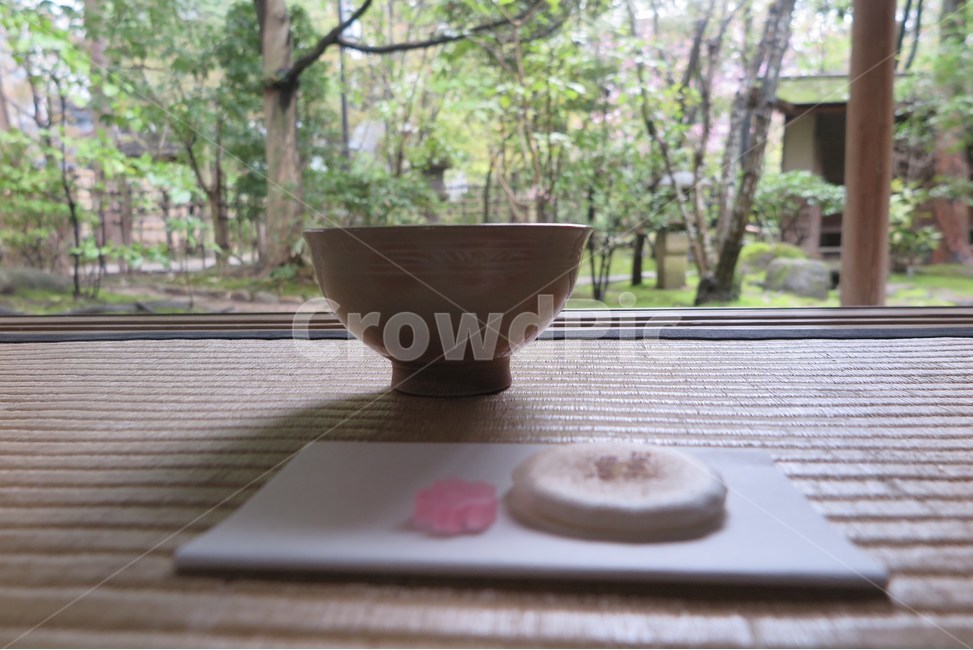 차,티타임,teatime,말차,일본식,다다미,정원,음료,greentea,감성사진,japan,일본느낌,스냅사진,음료수,drink,beverage,휴식,힐링,rest,relaxation,healing