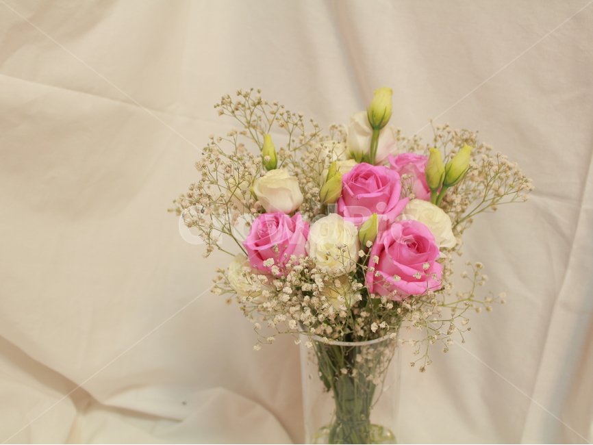 꽃,장미,꽃봉우리,스튜디오,정물,사물,오브젝트,안개꽃,꽃,flower,실내용화초,화분,화초,house plant
