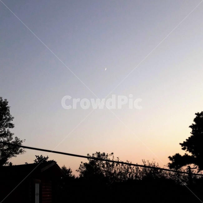 하늘,달,노을,그림자,나무,야경,밤,풍경,nightscape,night,landscape,nature,자연,outdoors,옥외,light,빛,flare,플레어