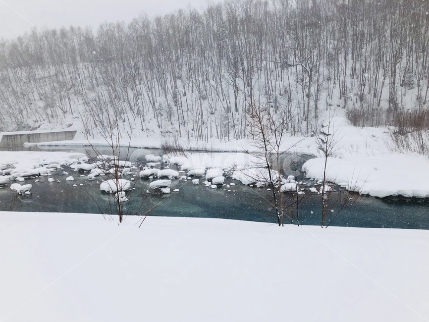 북해도,겨울,눈,풍경,청의호수,시냇물,함박눈,일본,비에이,겨울,계절,winter,season,자연,풍경,nature,landscape,blizzard,눈보라,storm,폭풍,outdoors,옥외,snow