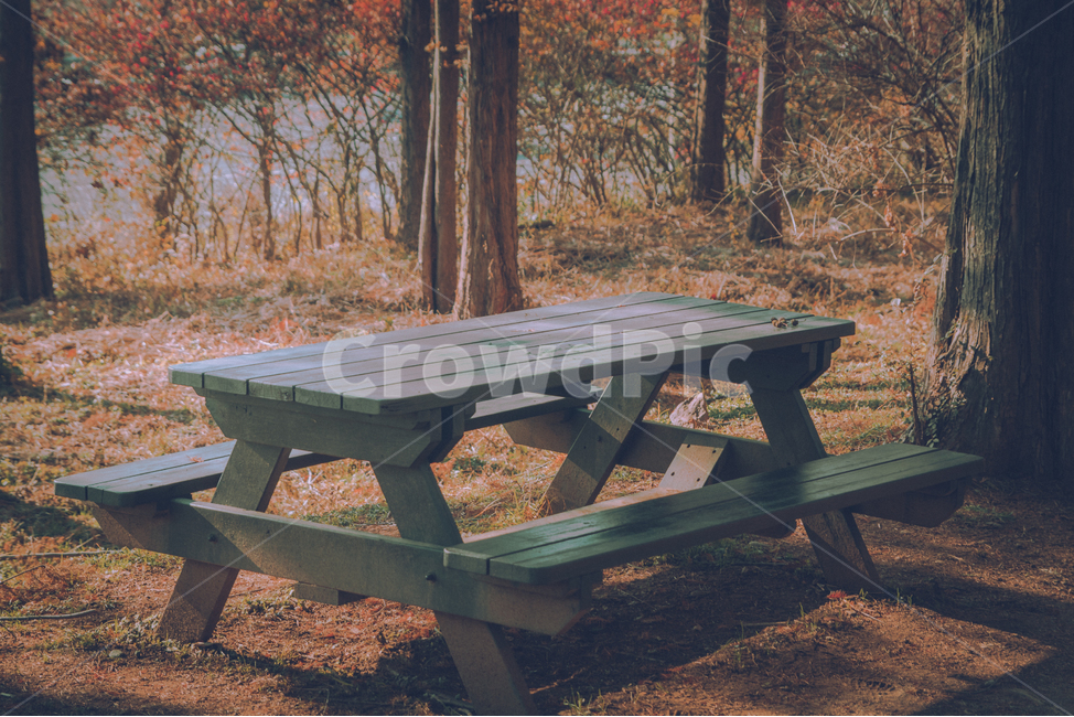 furniture,bench,벤치,table,가을,쉼터,가을,계절,fall,autumn,season,자연,풍경,nature,landscape