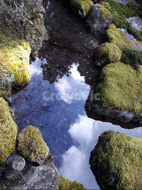 돌,단풍잎,이끼,구름,maple,stone,cloud,moss,자연,풍경,nature,landscape,plant,식물