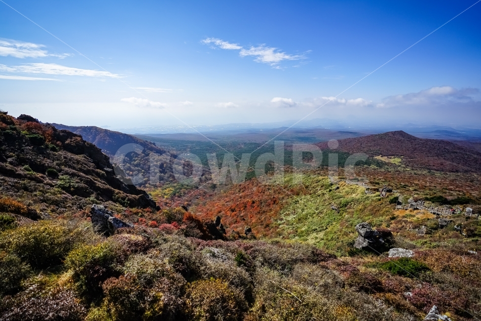 제주도,한라산,단풍,자연,가을,낙엽,가을,계절,fall,autumn,season,자연,풍경,nature,landscape,한국자연풍경,한국자연경관,korea nature landscape,제주도,jeju,jeju island,outdoors,옥외,mountain,산,plateau,고원
