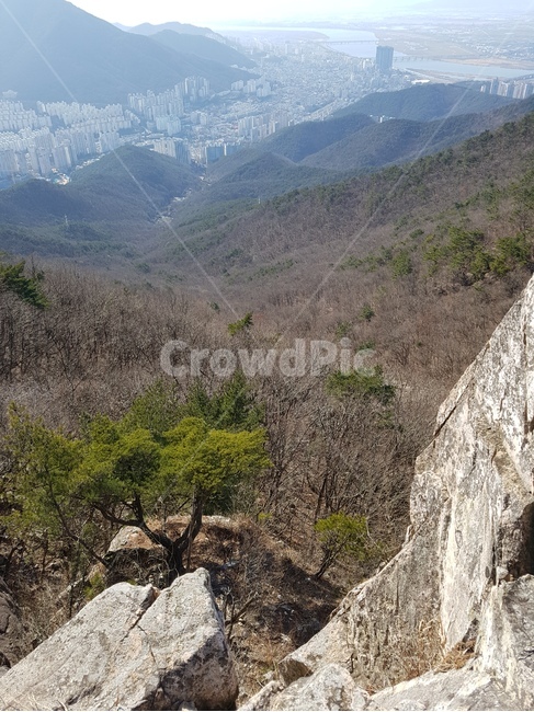 산,자연,금정산,나무,바위,mountain,tree,rock,outdoors,자연,풍경,nature,landscape