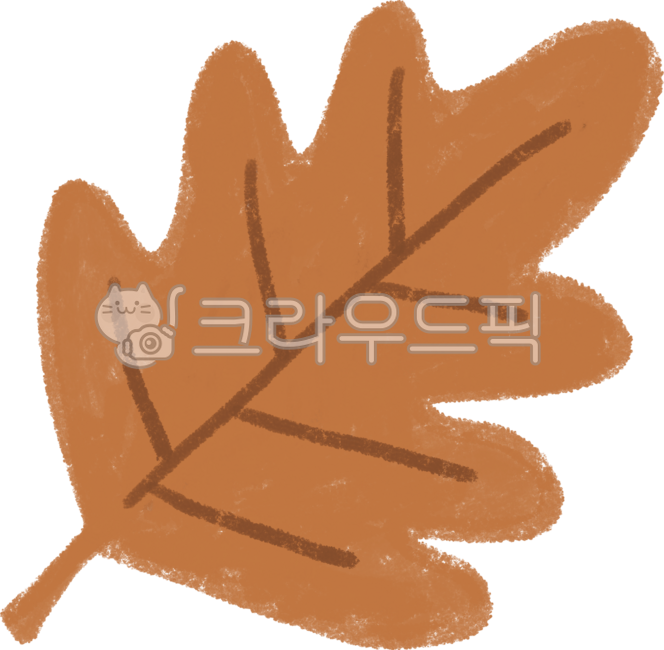 단풍잎,낙엽,가을,가을낙엽,낙엽png,낙엽일러스트,도토리나무잎,가을png