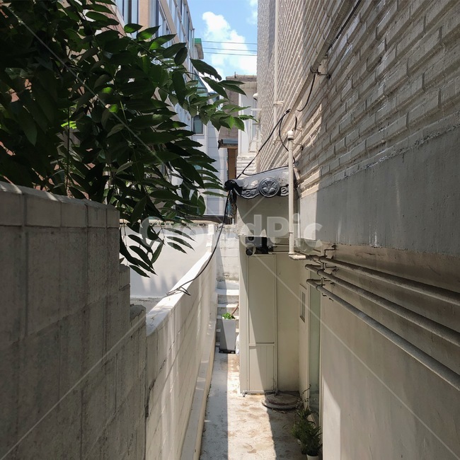 골목,골목길,빛,나무,햇살,골목길,alley