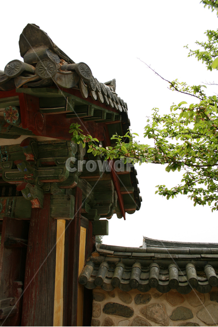 한국,경주,담장,담,기와,지붕,한국전통,한국문화,korean traditional,korean culture,건축물,건물외관,exterior,building,structure,architecture,construction