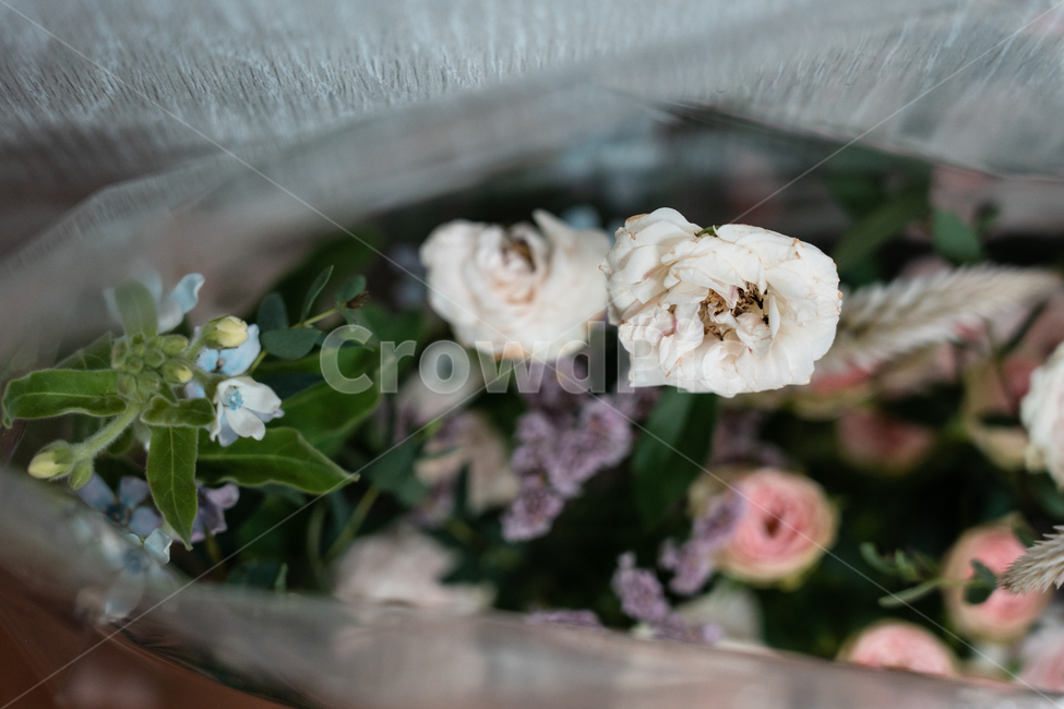 꽃,꽃꽂이,식물,flowers,botanical,꽃,flower