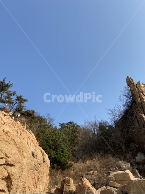 자연,하늘,절벽,cliff,nature,sky,tree,나무
