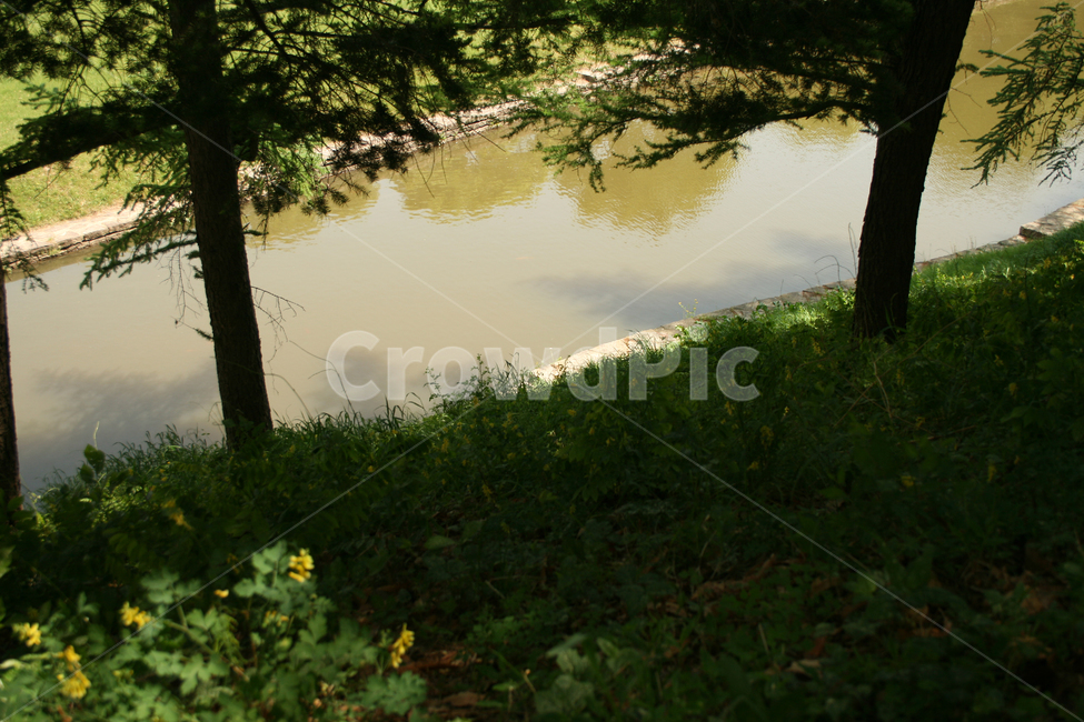 물,숲,숲속,언덕,냇가,자연,풍경,nature,landscape,식물,plants,나무,trees,wood,outdoors,옥외,water,tree,plant