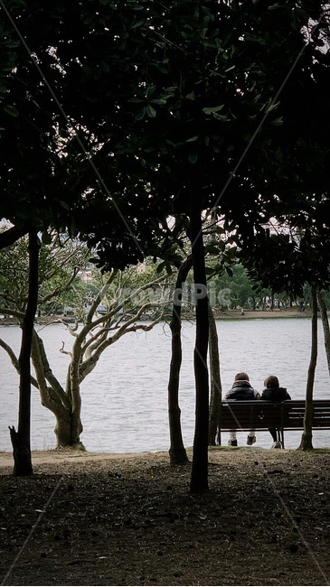 호수공원,호수,공원,감성,필름,필름감성,자연,풍경,nature,landscape,사람,인물,인간,human,person