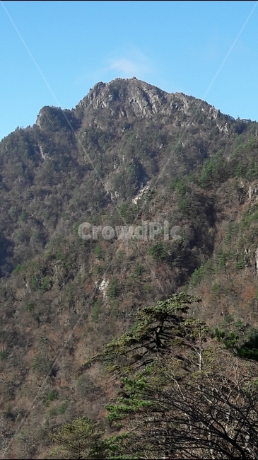 지리산,천왕봉,산,고사목,가을,국립공원,자연,풍경,nature,landscape,한국자연풍경,한국자연경관,korea nature landscape,outdoors,옥외,slope,경사
