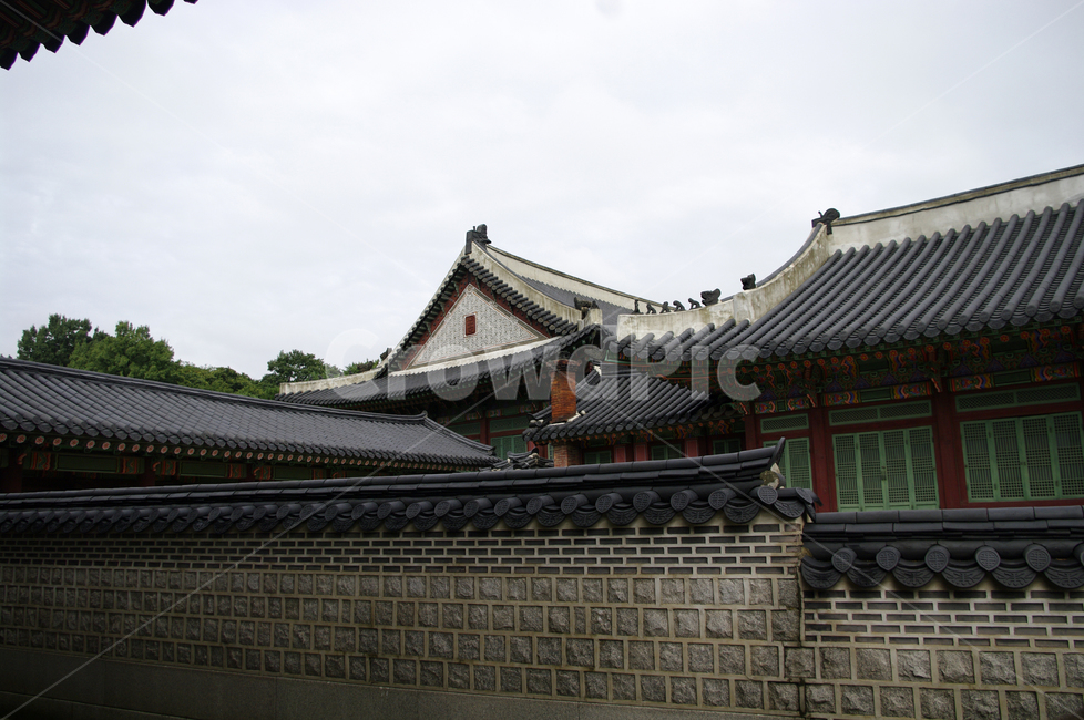창덕궁,고궁,한옥,전통가옥,기와지붕,건축,traditional,담장,한국전통,한국문화,korean traditional,korean culture,랜드마크,landmark,tourist attraction,한국랜드마크,한국관광지,한국명소,korea landmark,korea tourist attraction,건축물,건물외관,exterior,building,structure,architecture,construction