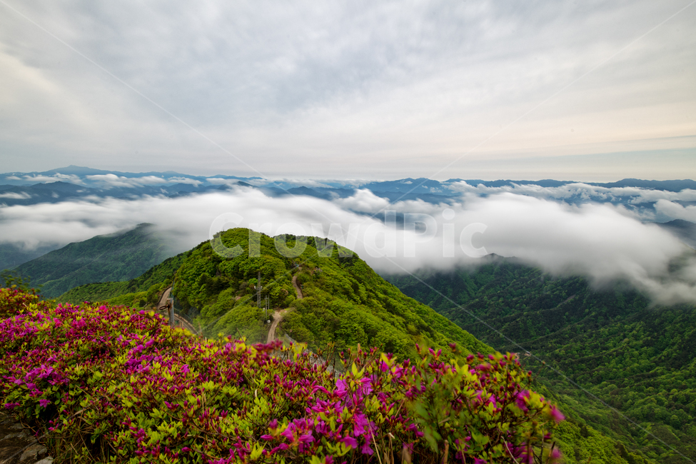 오도산,운해,합천,봄,철쭉,봄,계절,spring,season,자연,풍경,nature,landscape,한국자연풍경,한국자연경관,korea nature landscape,outdoors,옥외,mountain range,산맥,mountain,산,hill,언덕