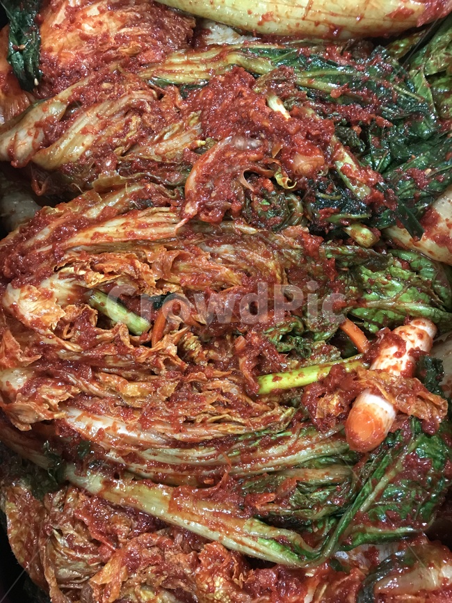 김장,김치,배추,배추김치,한국음식,음식,양념,전통,한국전통,한국문화,korean traditional,korean culture,음식,식재료,요리,food,cook,meal,dishes,food reserves,채소,야채,vegetables,한식,한국음식,한국요리,korean food,korean dishes,korean meal,korean cook