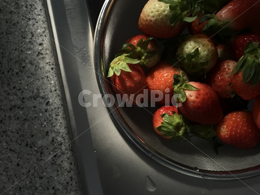 plant,식물,food,strawberry,딸기,fruit,과일,식품,과일,열매,fruit