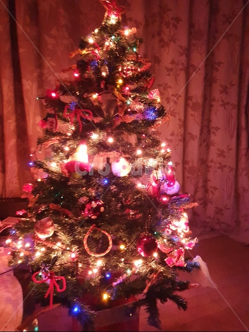 크리스마스트리,christmastree,장식,겨울,크리스마스,성탄일,트리장식,메리크리스마스,성탄절,merry christmas