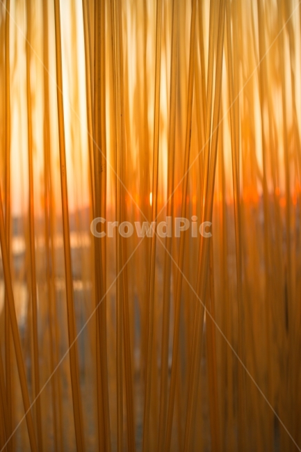 노란색,색감,패턴,태양,통영,yellow,color,미니멀,텍스처,질감,패턴,texture,pattern