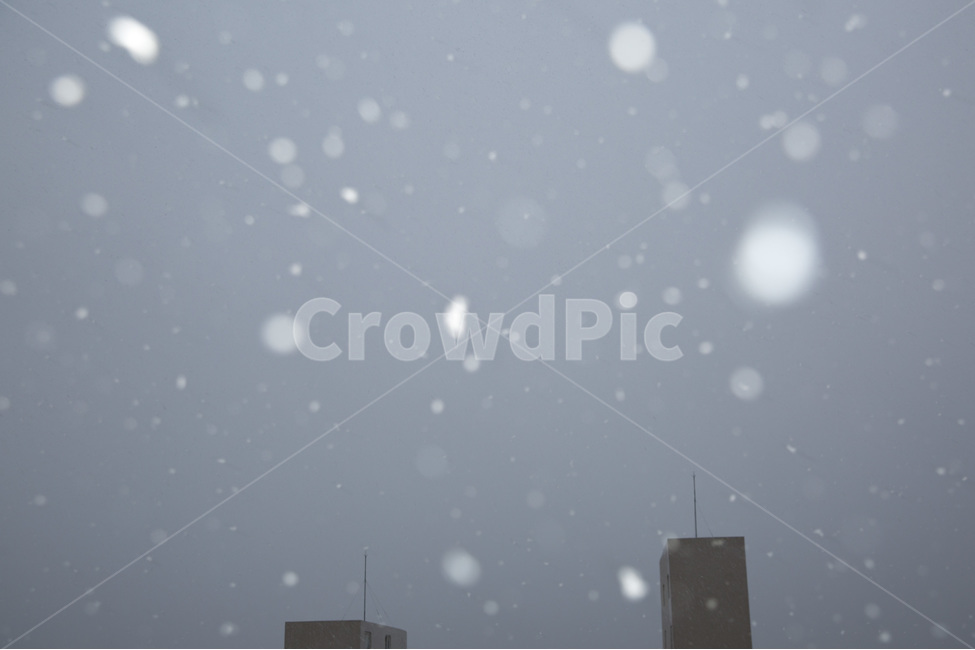 감성사진,겨울,눈,따스함,봄,겨울,계절,winter,season,감성,sensible,feeling