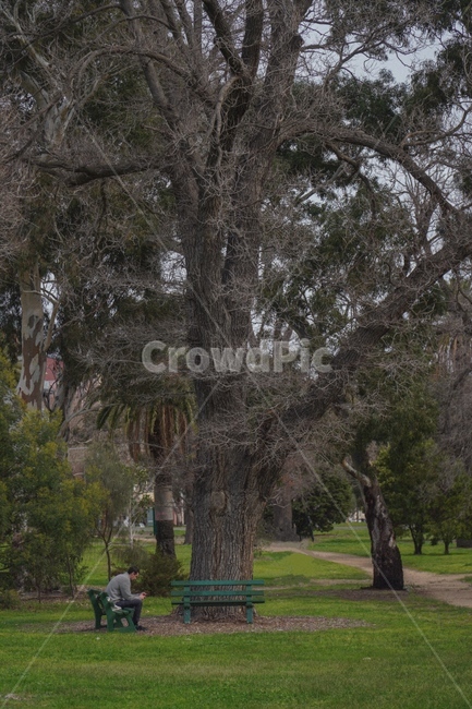 공원,나무,자연,감성사진,감성,tree,park,nature