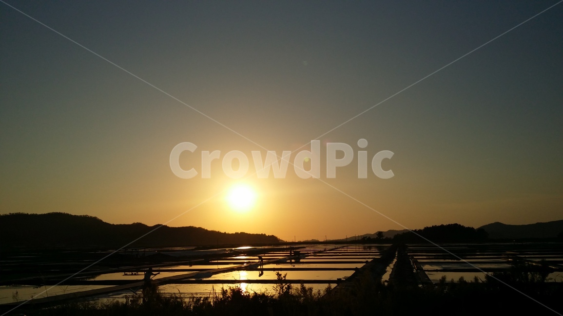 일출,태양,빛,염전,노을,여명,그림자,플레어,풍경,자연,자연,풍경,nature,landscape