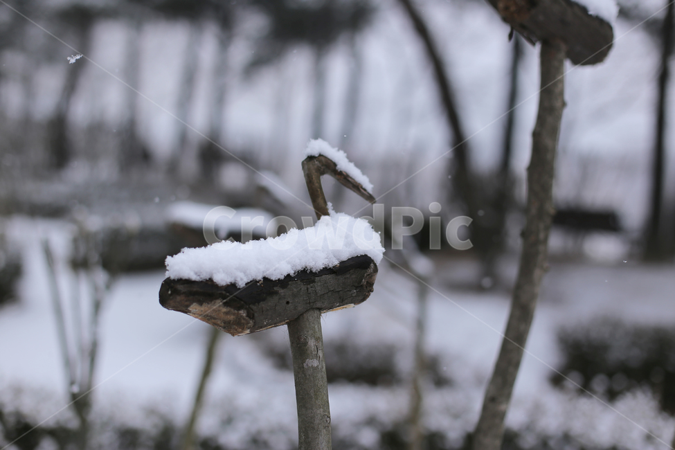겨울,눈,눈오는날,snow,winter,풍경,감성,화이트,추위,폭설,설경,겨울,계절,winter,season