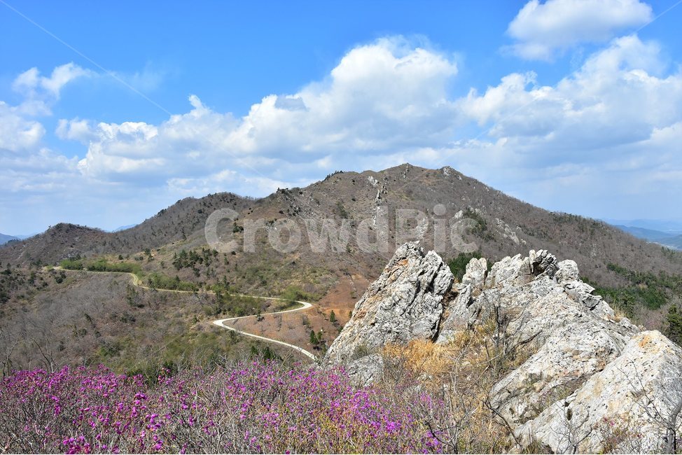 주작산,덕룡산,종주,진달래,풍경,기암,바위,비경,봄풍경,진달래꽃,강진,명산,산행,등산,마운틴,힐링,mountain,landscape,자연,natural,봄,계절,spring,season,자연,풍경,nature,landscape,한국자연풍경,한국자연경관,korea nature landscape,outdoors,옥외